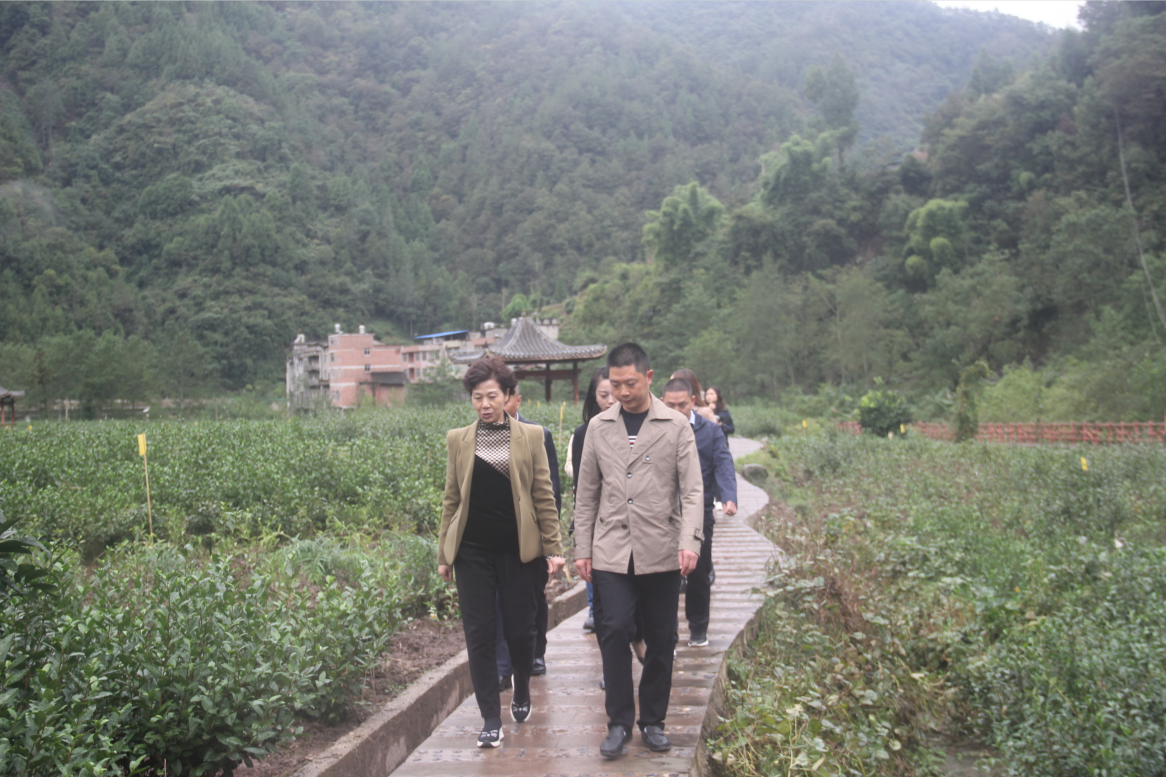 QQ截图20201015182209.png