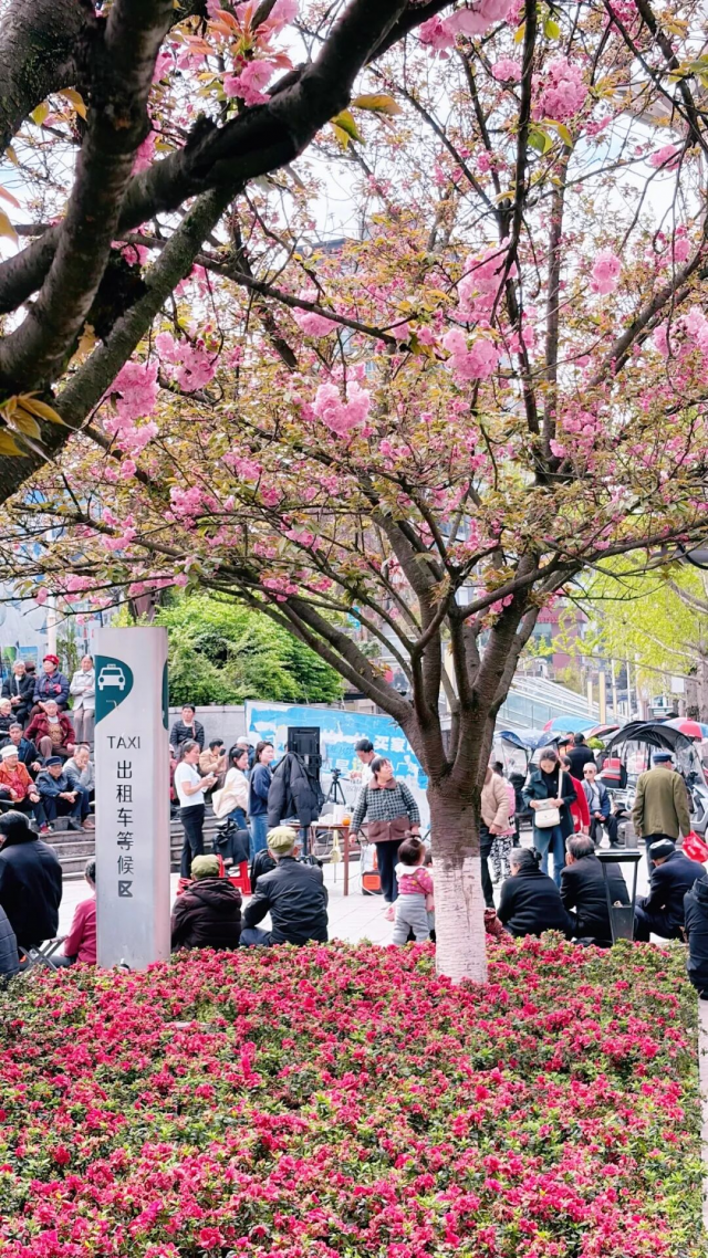 宣汉街头，最新拍下......